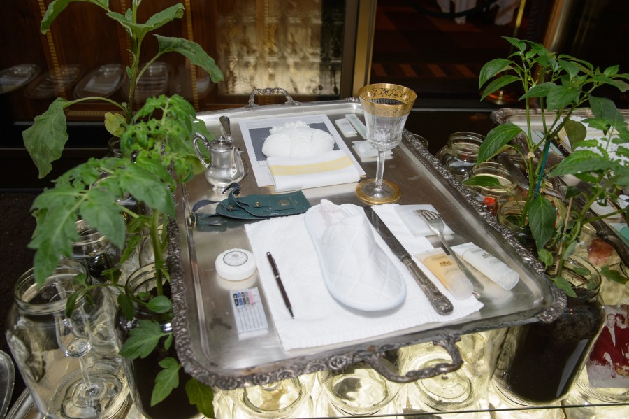 &#x23;hotelbristol&#x20;&#x23;honeyandbunny&#x20;&#x23;eatconservationart